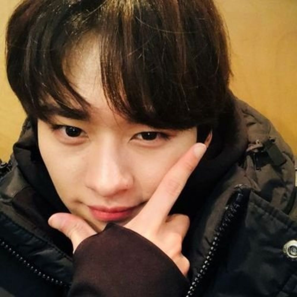 Bebel