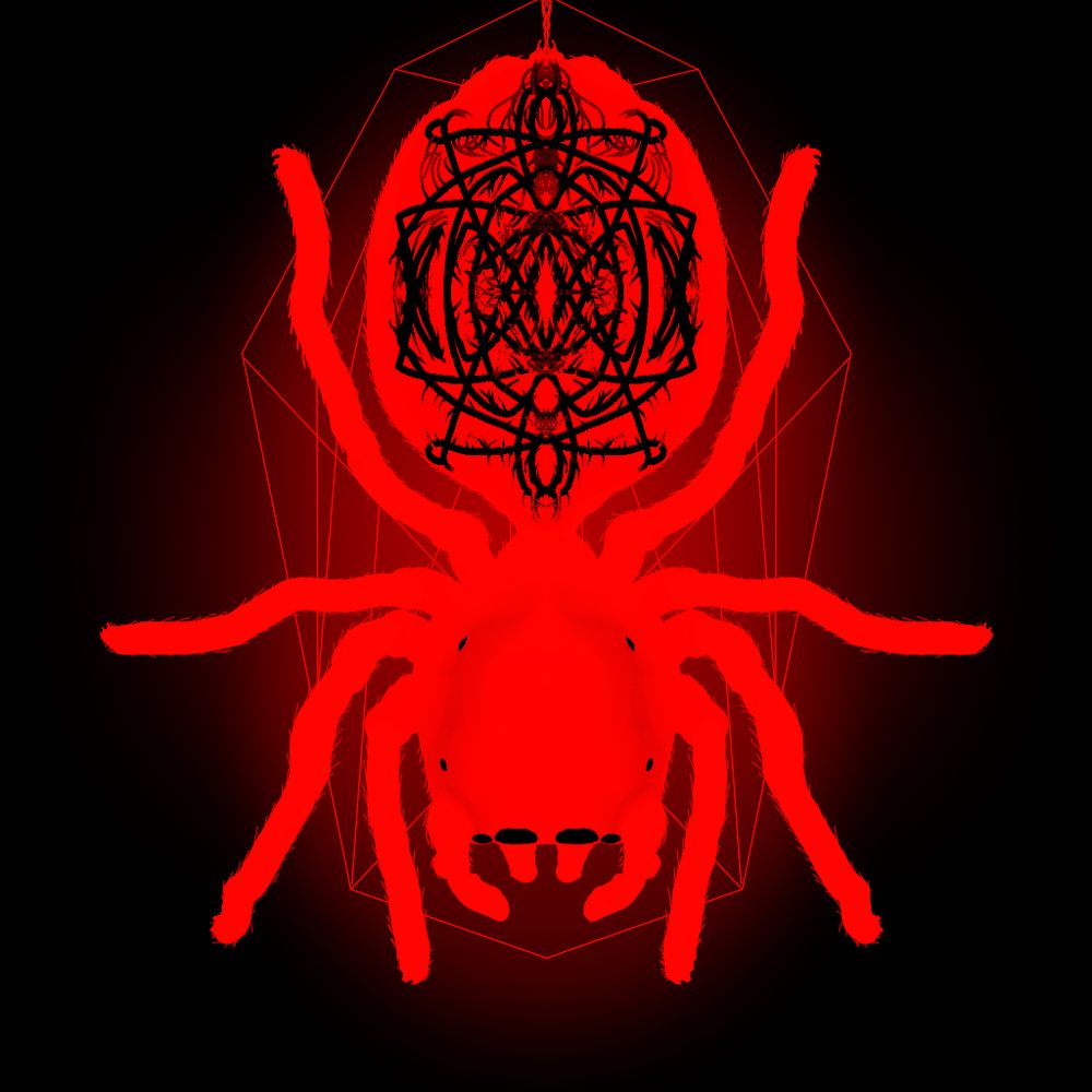 🕸🕷ALostCarolean🕷🕸