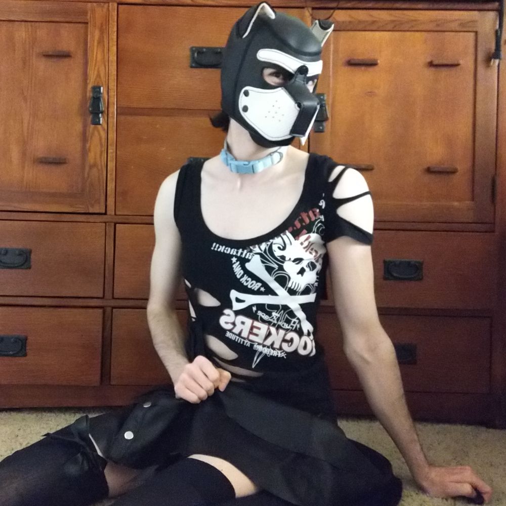 Pup Bandit