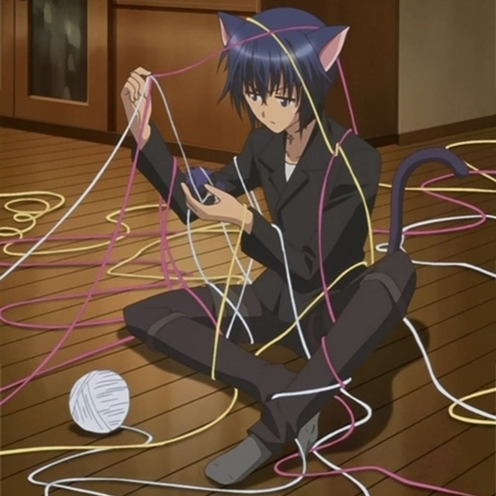 some cat boy