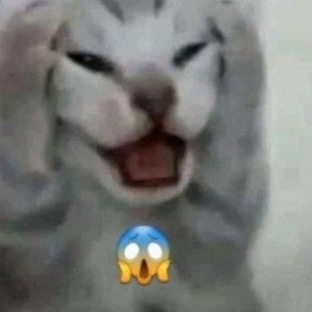 Cataquinhos