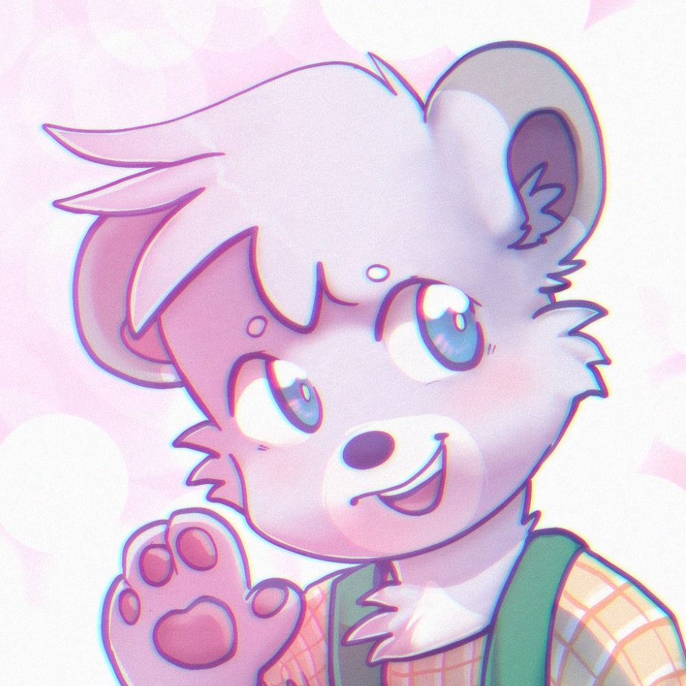lil bear 🐻‍❄️
