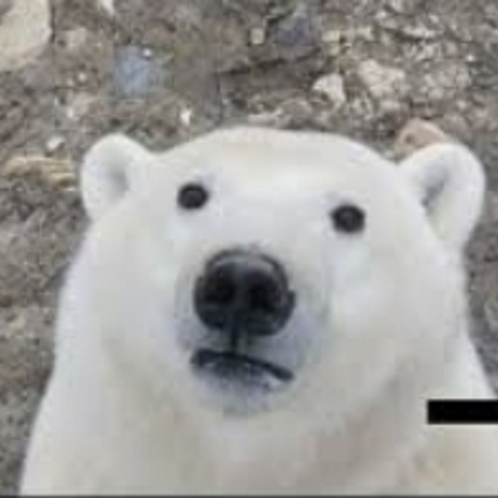 ㅎㅈ