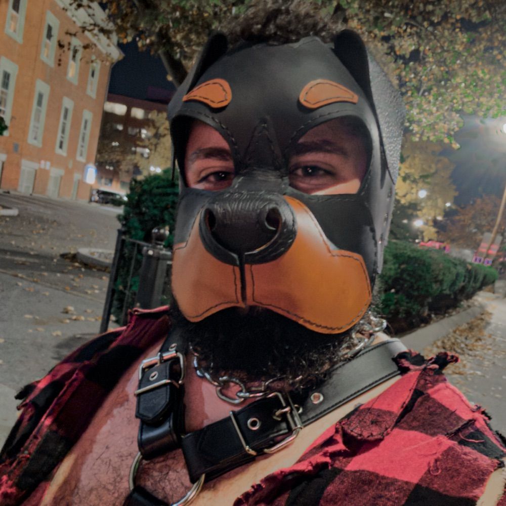Pup Tibbs