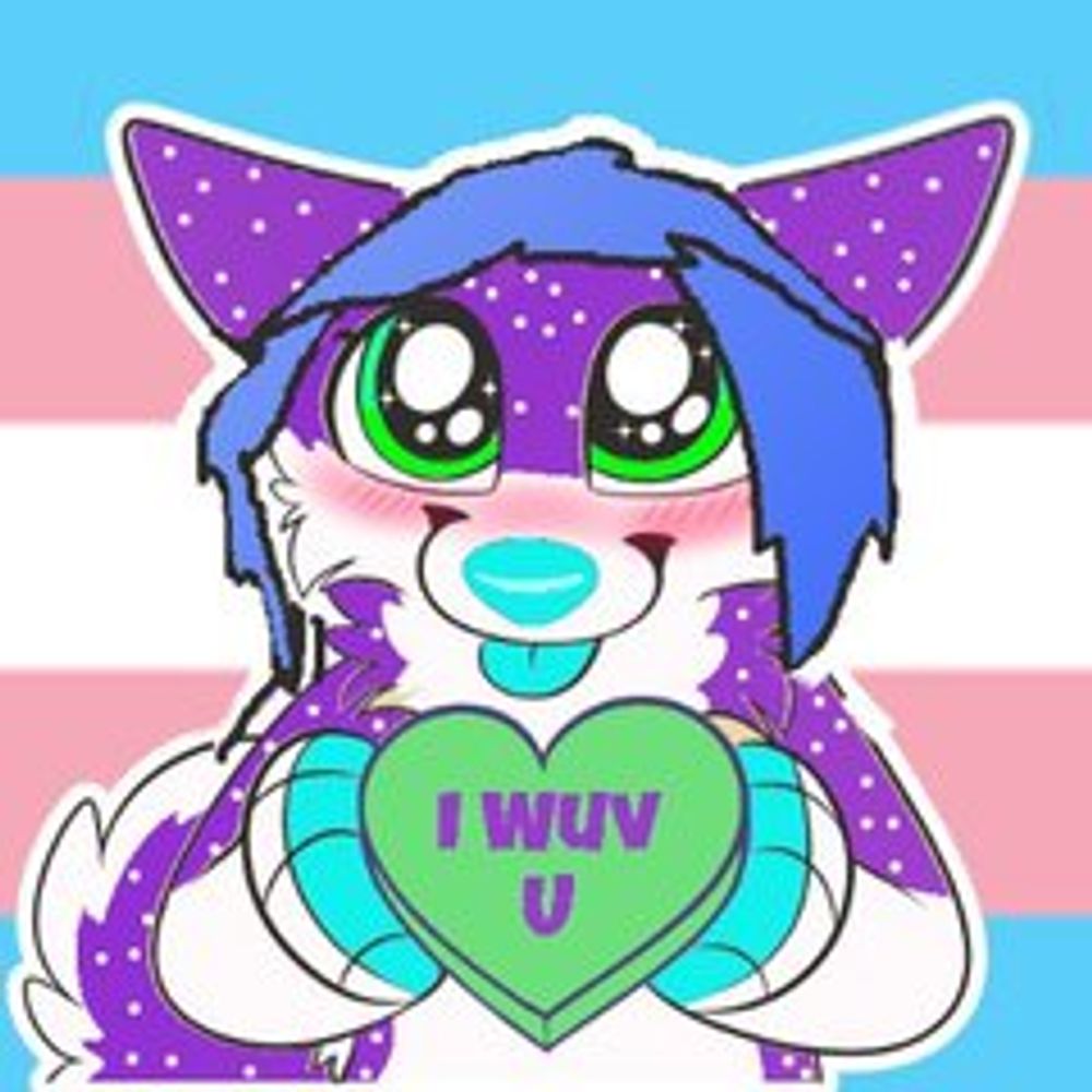 Profile picture nova-folf.bsky.social