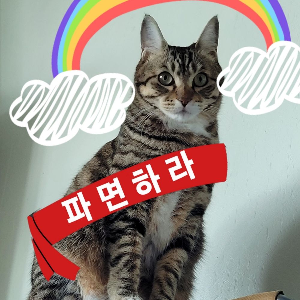 파편