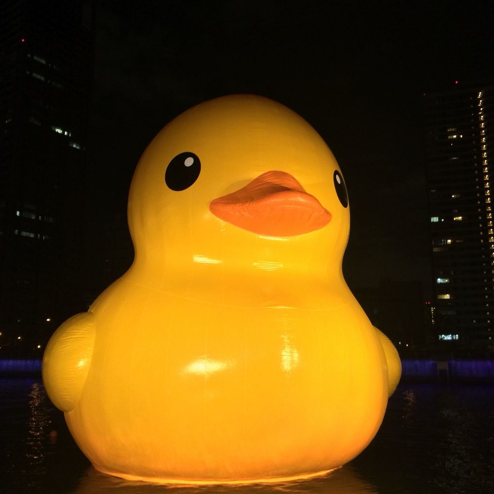 かもき