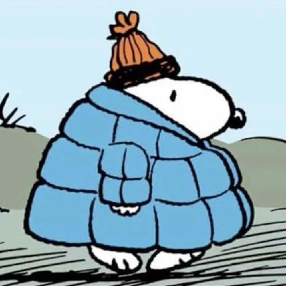 Snoopy Fein