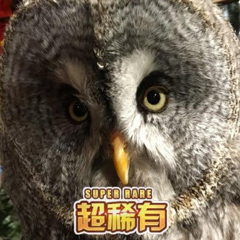 はと