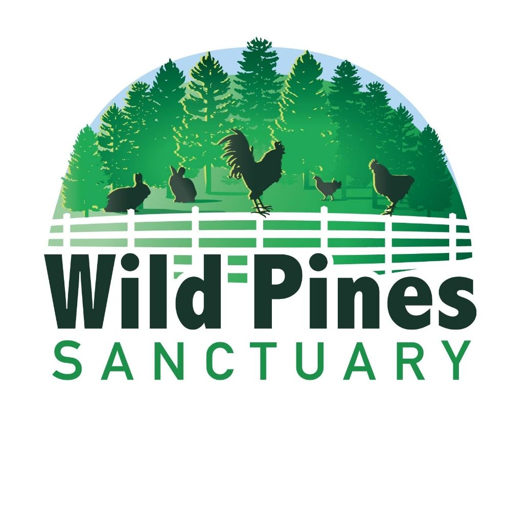 Wild Pines Sanctuary