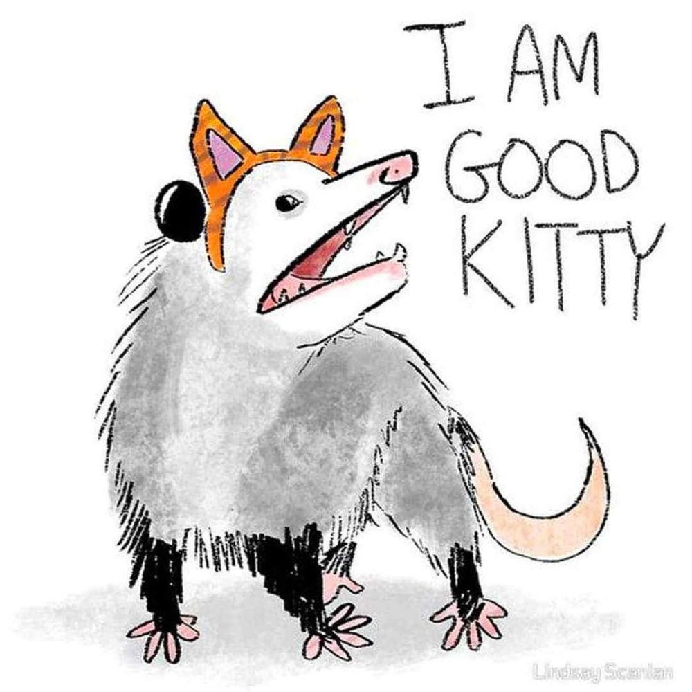 Mama Opossum
