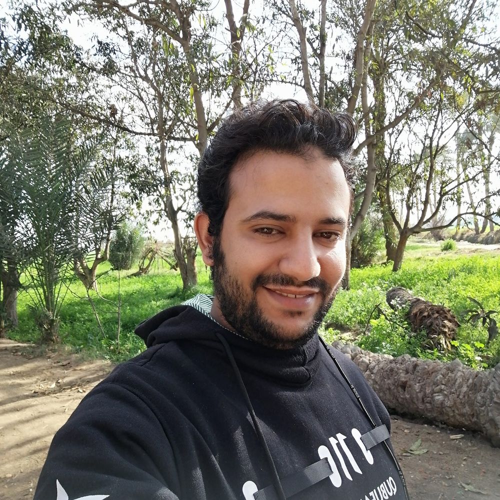محمود ابوالغيط