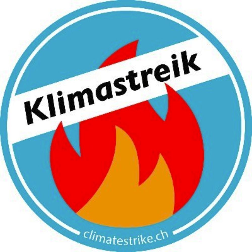Klimastreik Schweiz 🔥