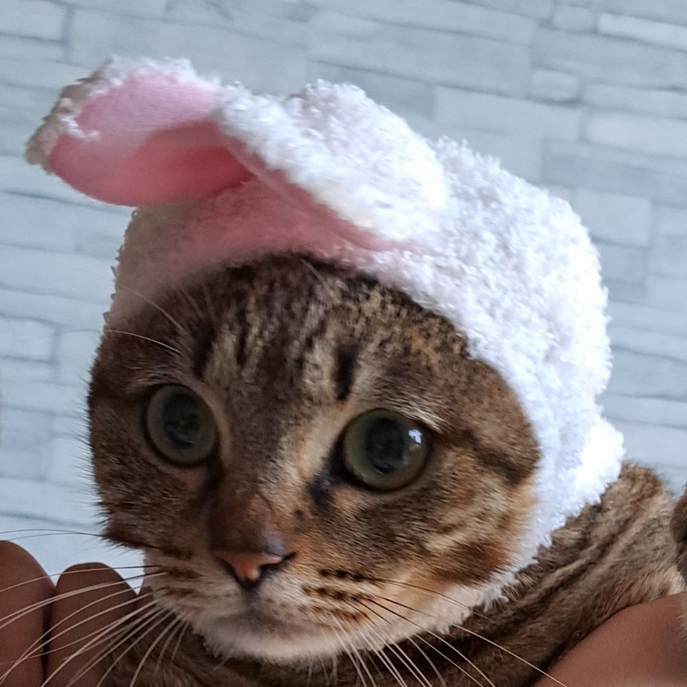 りり