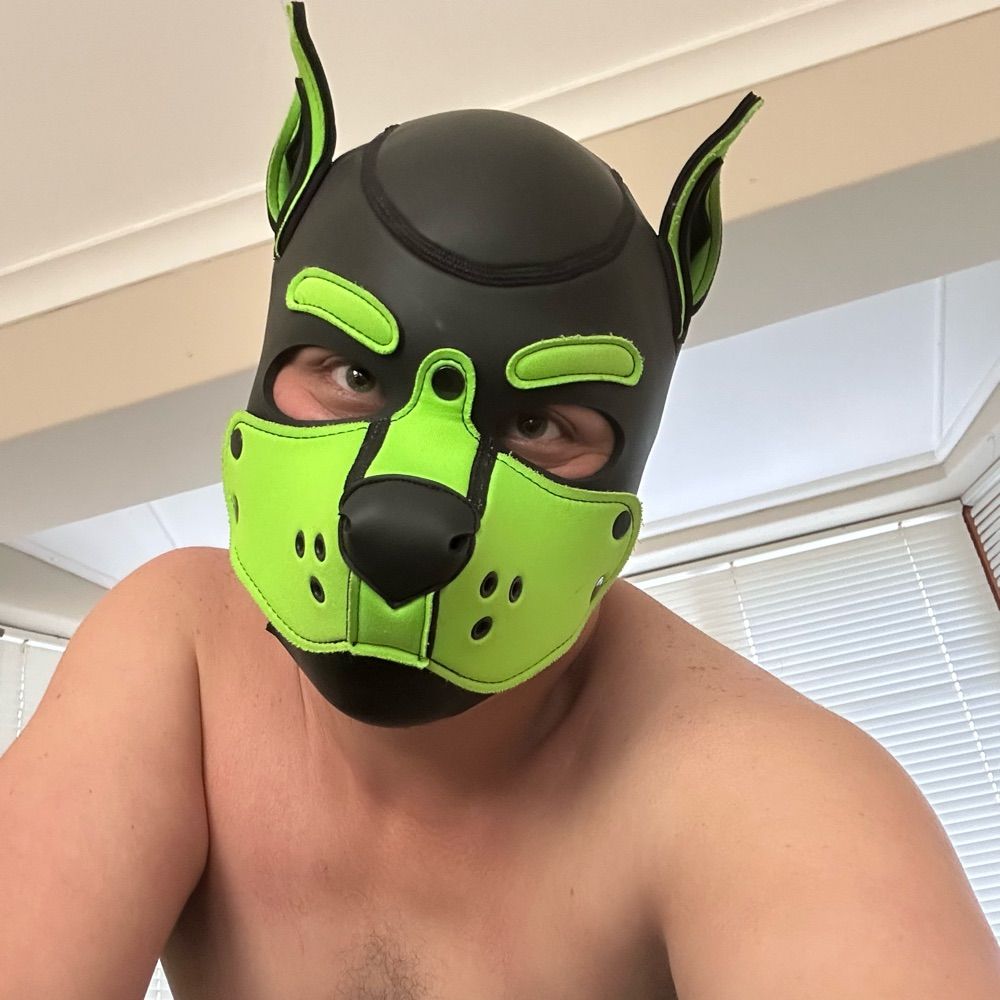 Pup Jac