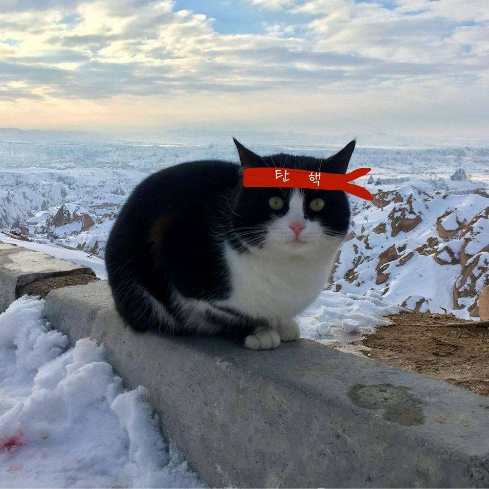 두식