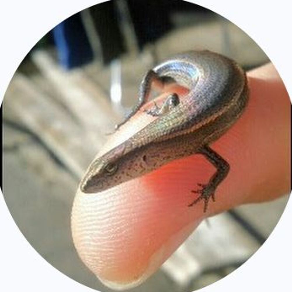 Simon