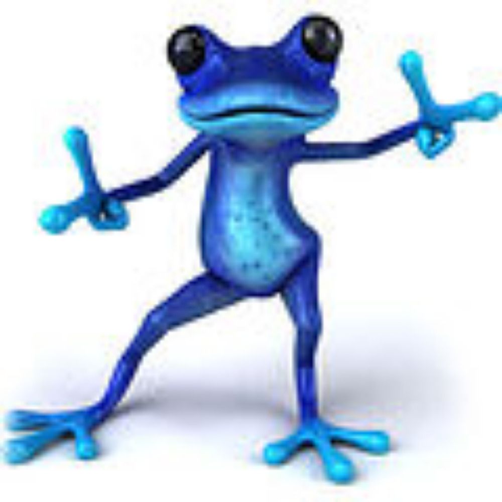 Bluefrogprince