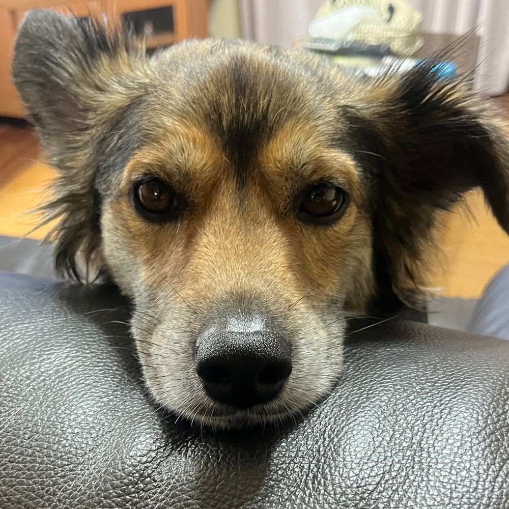 釣り人