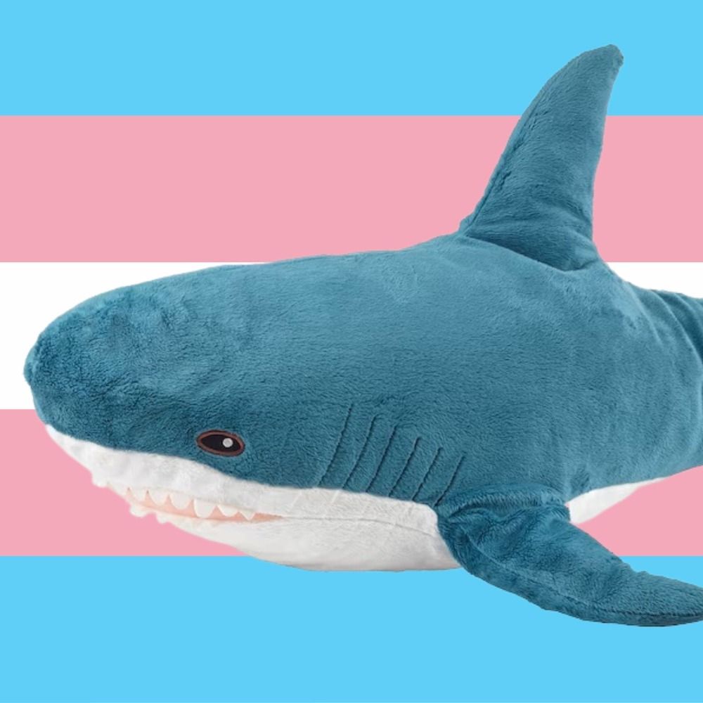 Blahaj Champion of Bottoms's avatar