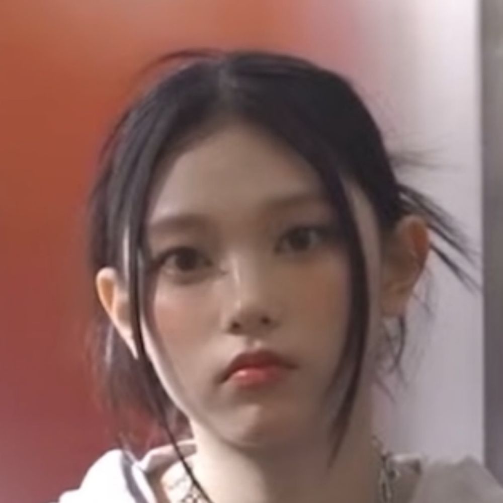 애보