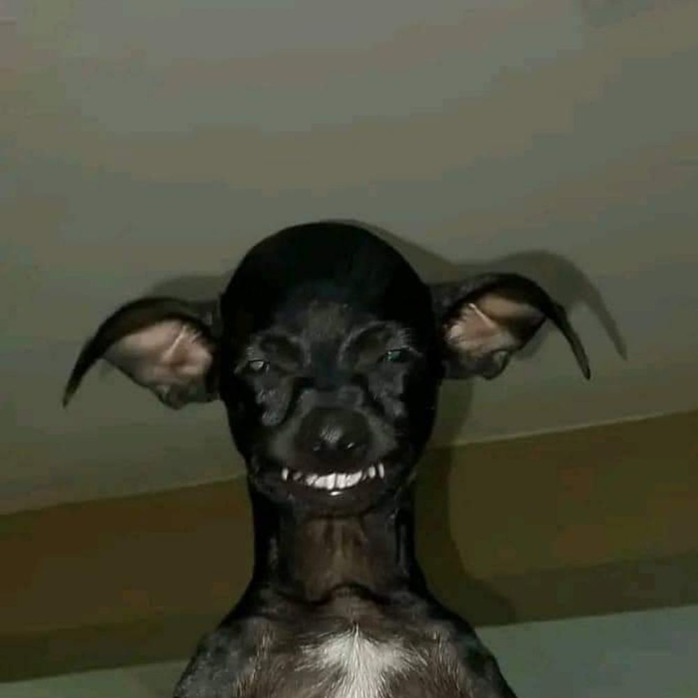 PRETUFOSCO