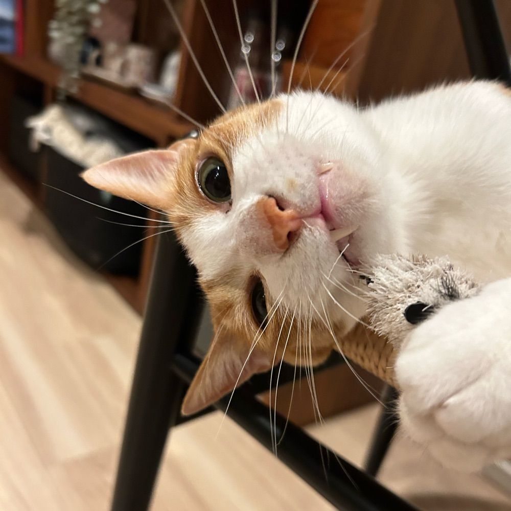 ちゆき