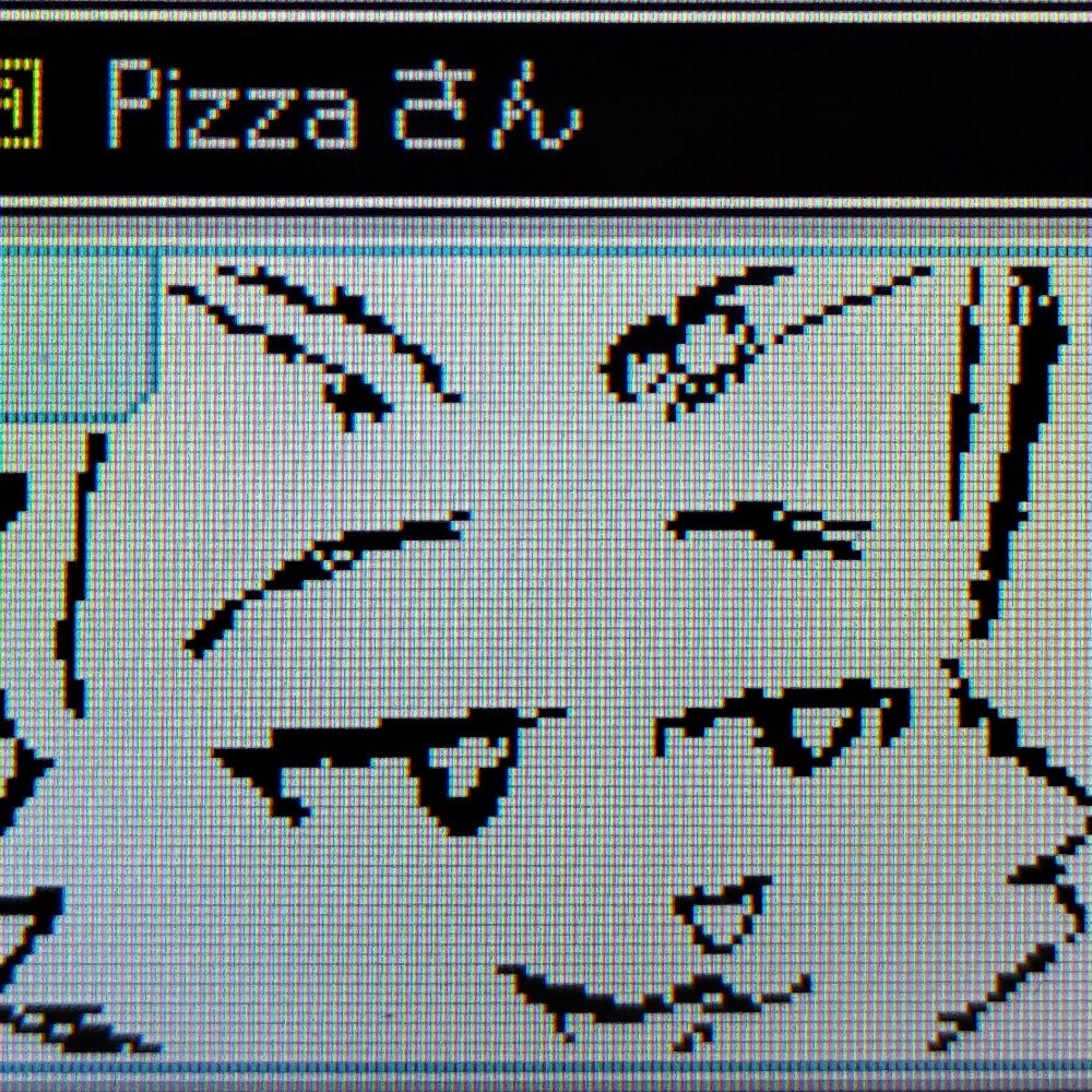 fox cat