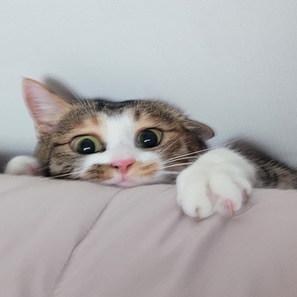 천방지축풀떡이