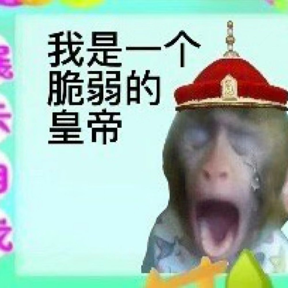 肥羊卷卷國王👑