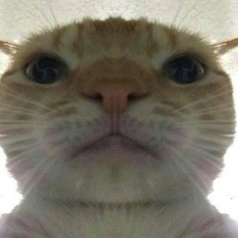 Mix