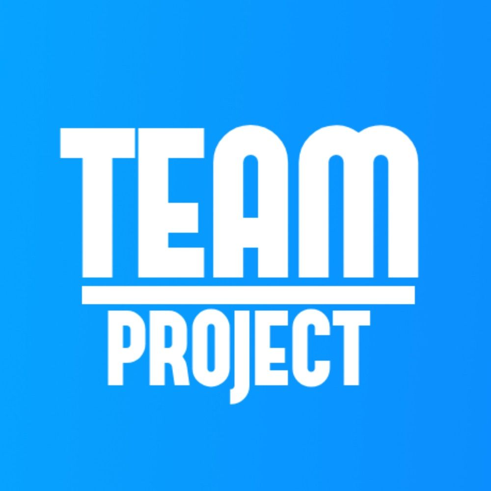 Team Project
