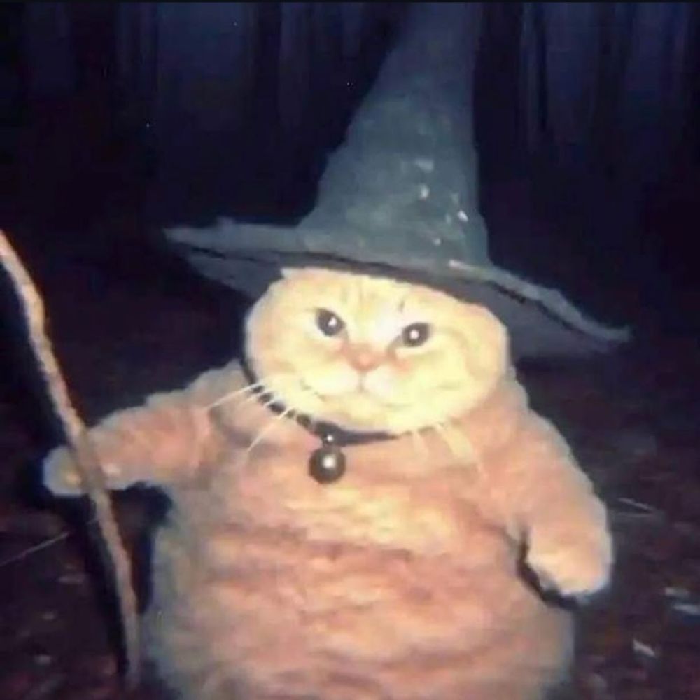 Gato Laranja Gandalf 