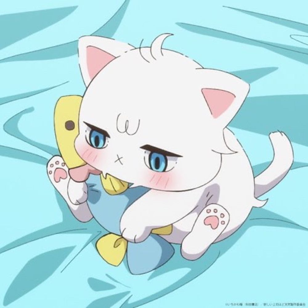 wawadesu