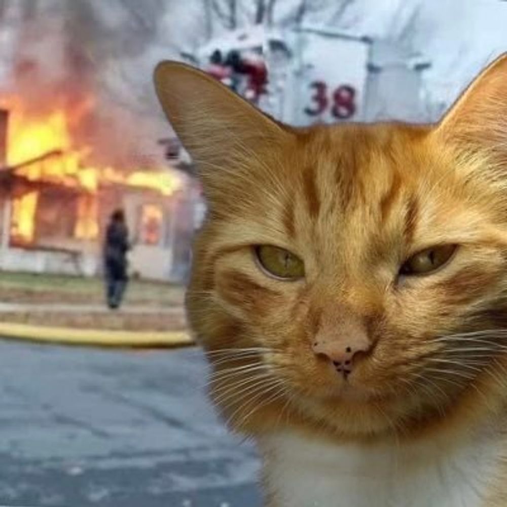 DevOpsCats