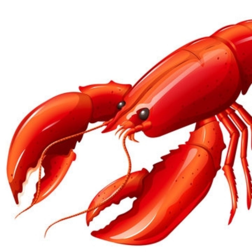 The Dancing Lobster
