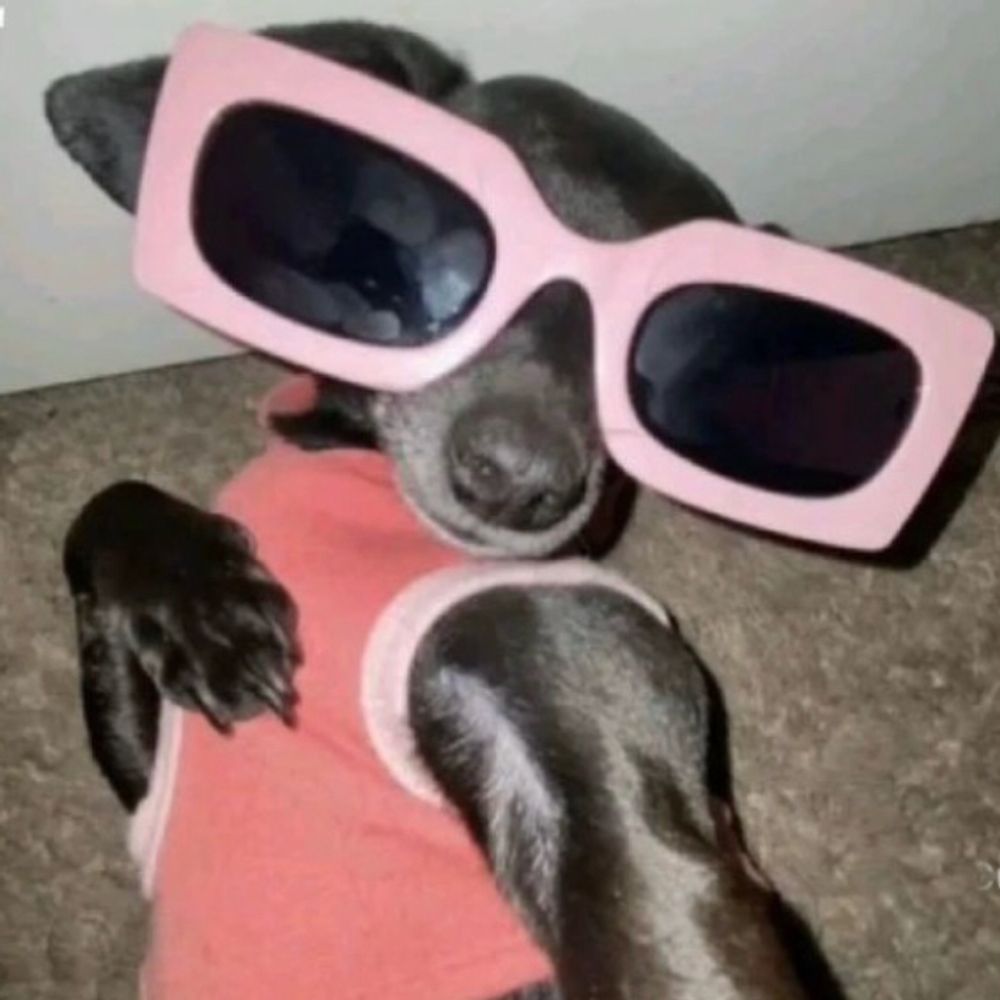 debra____