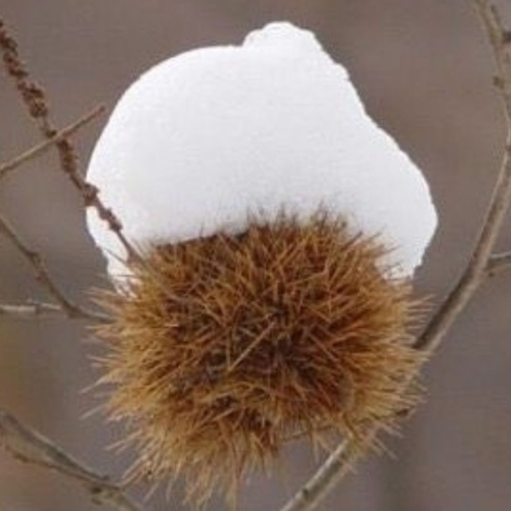 이장