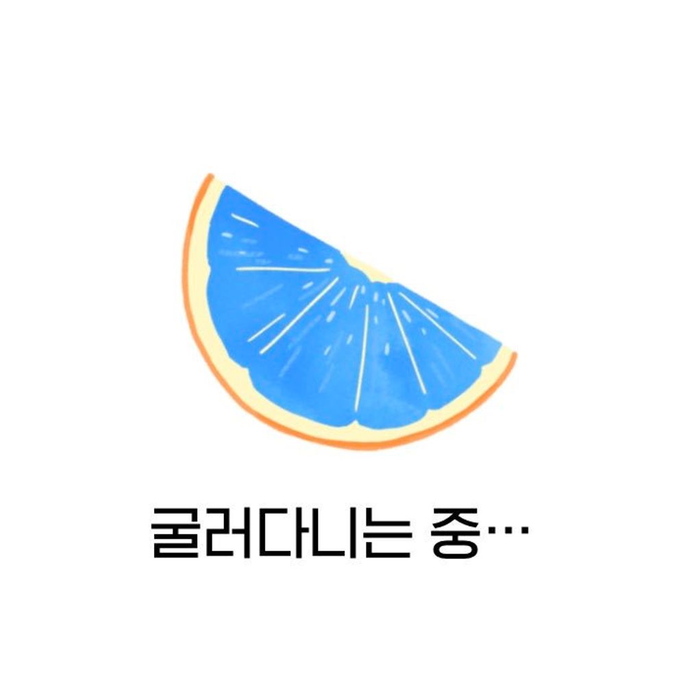 오렌지 🍊