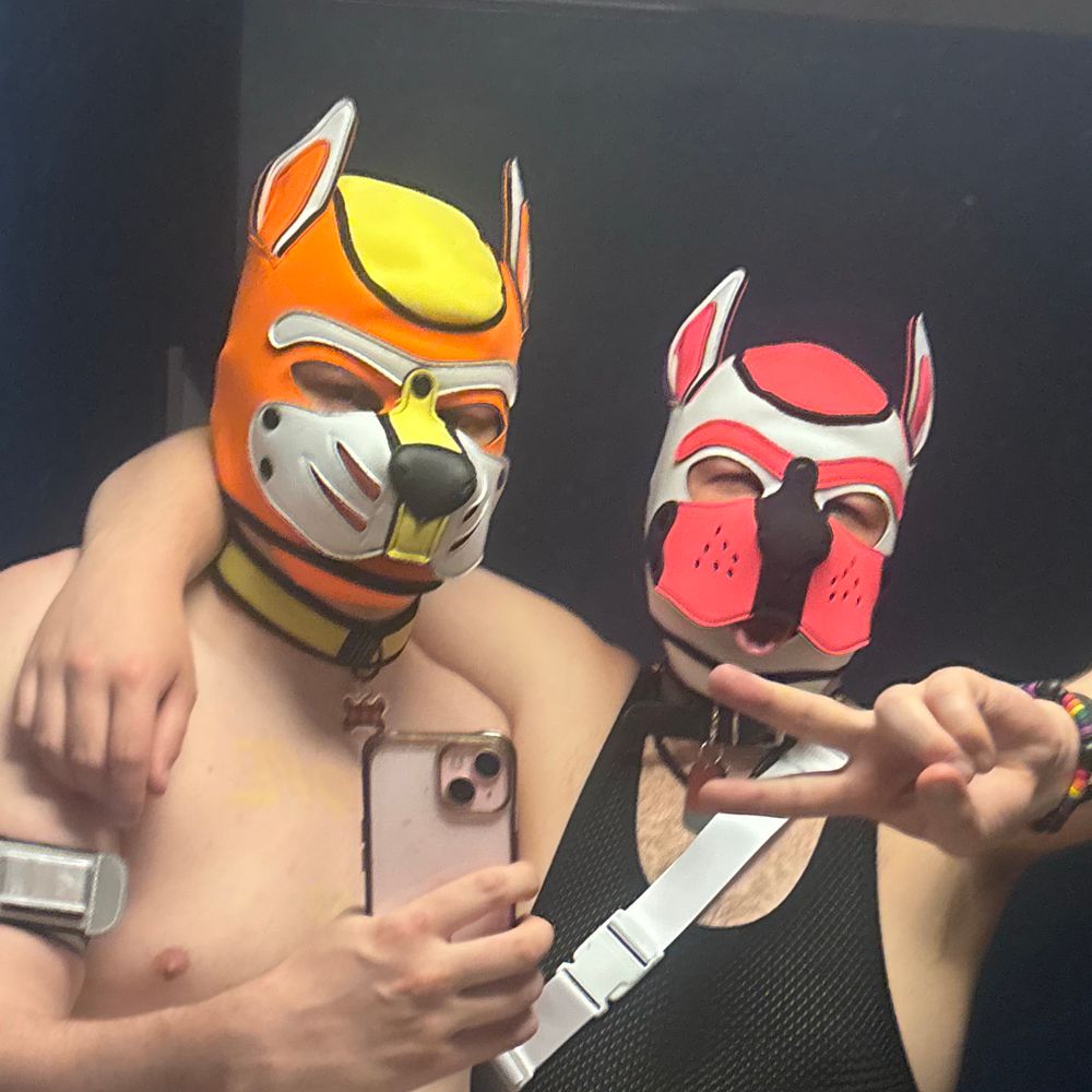 Pups Iago and Mort