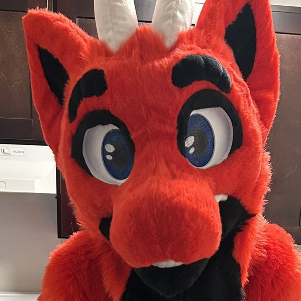 Tyler The Dragon 🔜 FURG, AC, FD