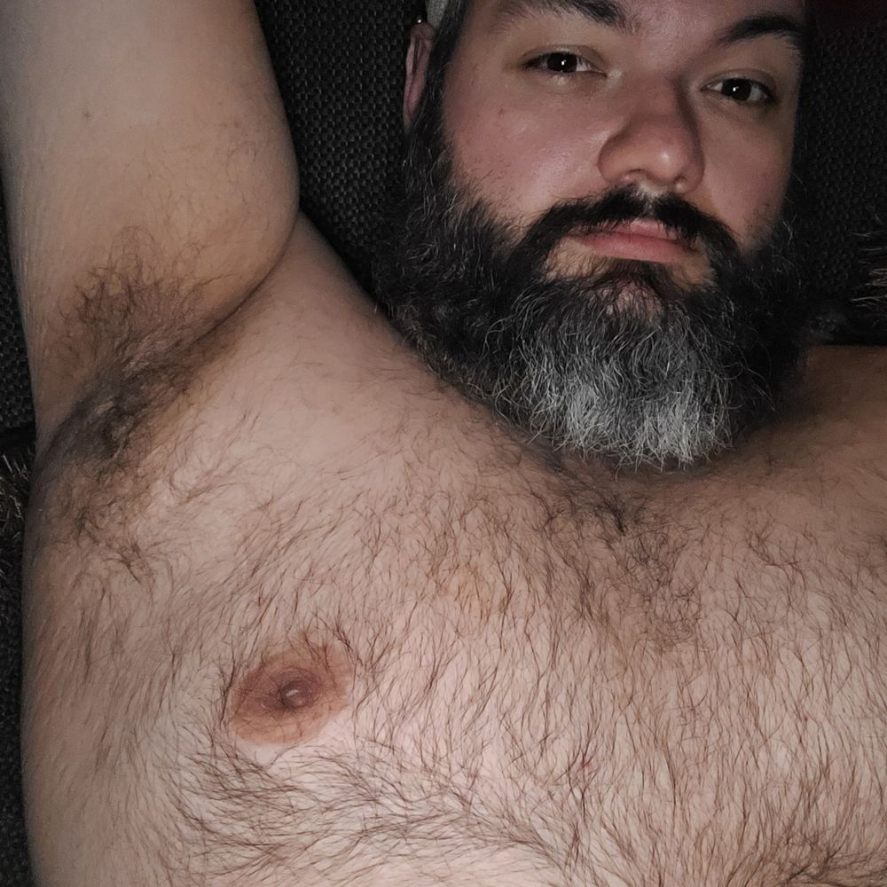 BeardedPig 