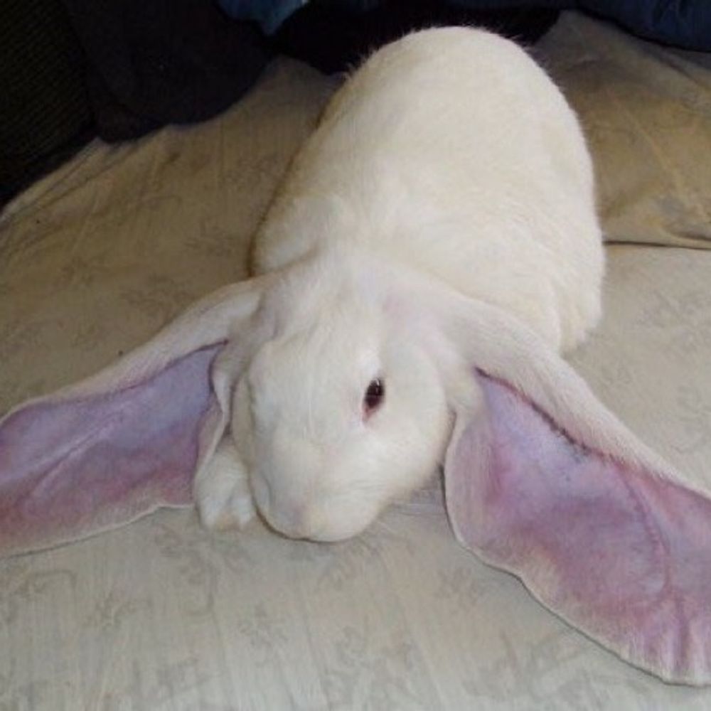 kawthar