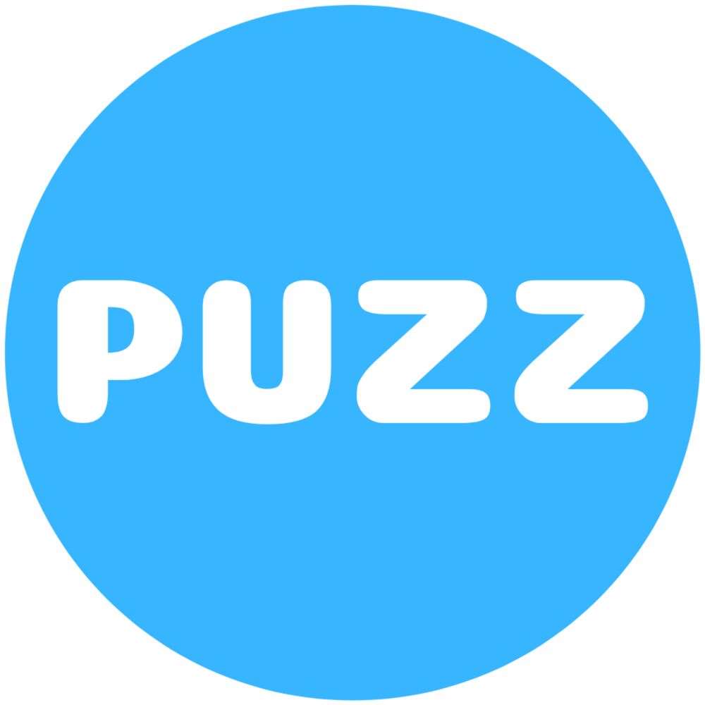 Puzz Records