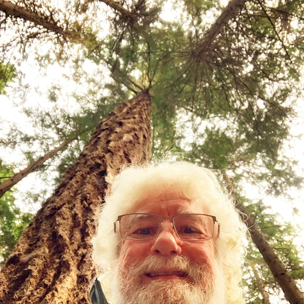 Allan Forest