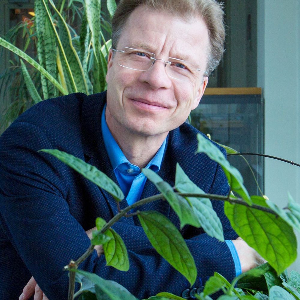 Bodo Steiner