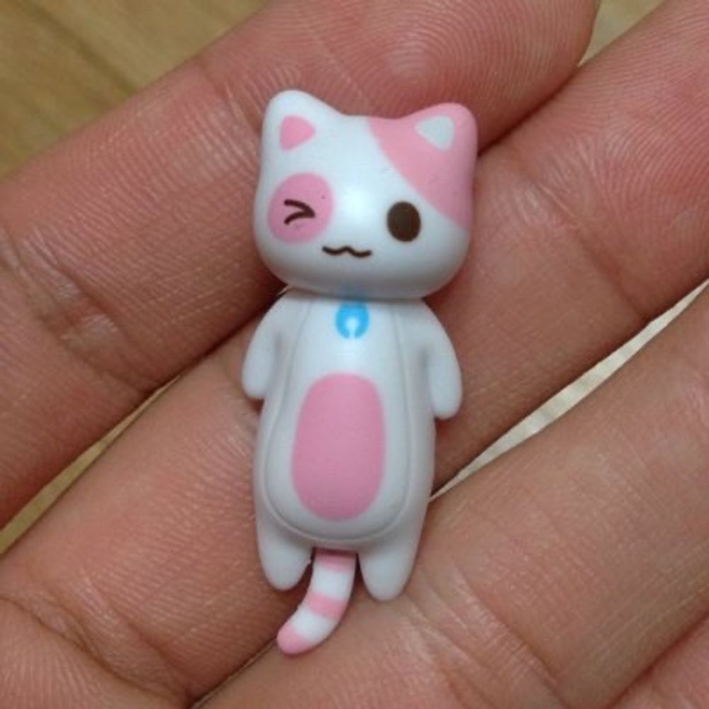 gato