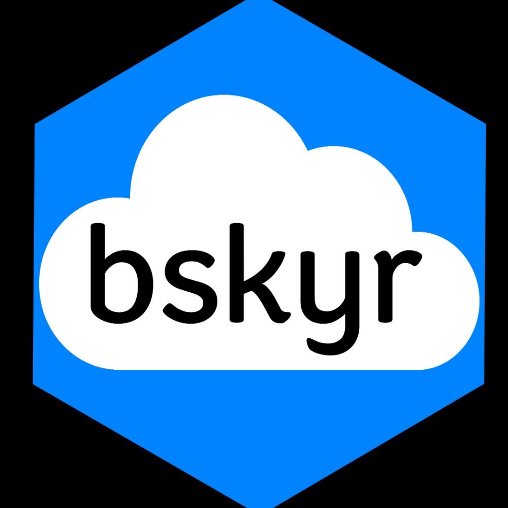 bskyr R package
