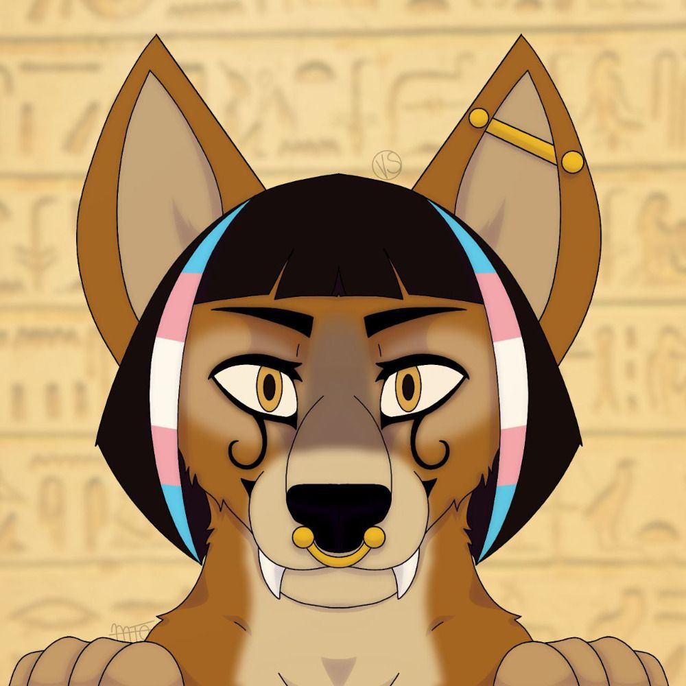FluffyLay