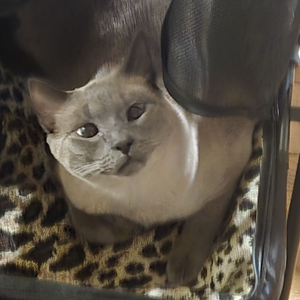 Eros